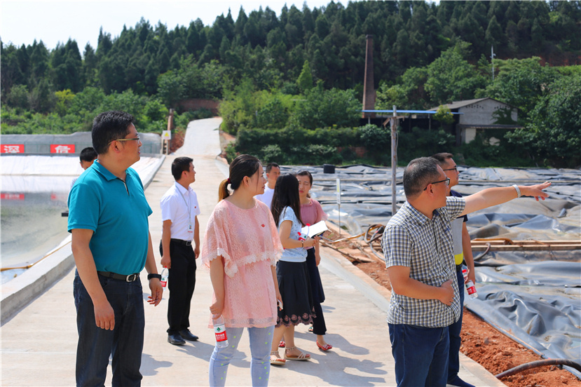 集團(tuán)第一檢查組檢查杰陽排水公司、固廢處置公司安全防汛和環(huán)保達(dá)標(biāo)各項(xiàng)工作3_副本