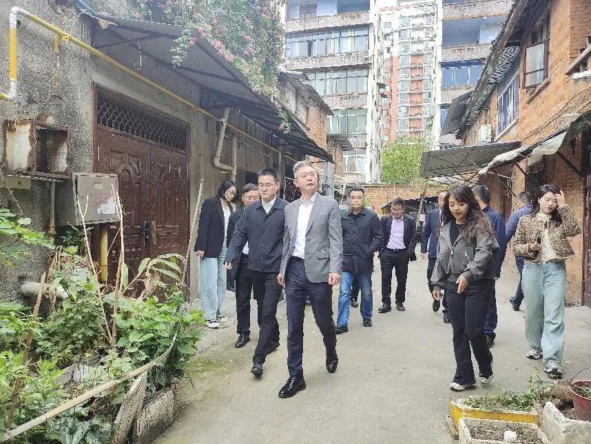 德陽市委常委、組織部部長周鴻調研督導紅雨村七組城市更新項目推進工作